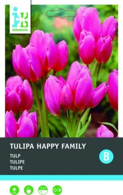 Intratuin Bloembollen Tulp (Tulipa 'Happy Family') 10 Stuks