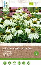 Intratuin Biologische Vaste Plant Zonnehoed (Echinacea 'White Swan')