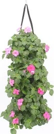 Wandhanger Met Vlijtig Liesje (Impatiens Walleriana) Roze H 50 Cm