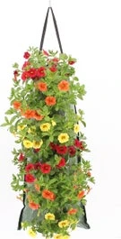 Wandhanger Met Minipetunia (Calibrachoa) H 50 Cm
