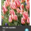Intratuin Bloembollen Tulp (Tulipa 'Quebec') 10 Stuks 2 Intratuin Bloembollen Tulp (Tulipa 'Quebec') 10 Stuks -Tuin Planten Winkel 8717263786481