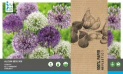 Intratuin Bloembollen Sierui (Alium) Gemengd 20 Stuks -Tuin Planten Winkel 8717263786955 2
