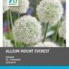 Intratuin Bloembollen Sierui (Allium 'Mount Everest') 3 Stuks