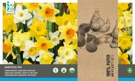 Intratuin Bloembollen Grootkronige Narcis (Narcissus) Geel, Wit 20 Stuks 3 Intratuin Bloembollen Grootkronige Narcis (Narcissus) Geel, Wit 20 Stuks
