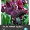Intratuin Bloembollen Tulp (Tulipa 'Negritta Parrot') 7 Stuks -Tuin Planten Winkel 8717263787235