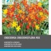 Intratuin Bloembollen Montbretia (Crocosmia ) Gemengd 40 Stuks -Tuin Planten Winkel 8717263787914