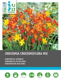Intratuin Bloembollen Montbretia (Crocosmia ) Gemengd 40 Stuks