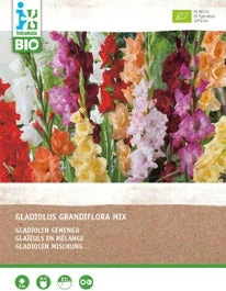 Intratuin Biologische Bloembollen Gladiool (Gladiolus Grandiflora) Gemengd 25 Stuks