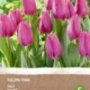 Intratuin Biologische Bloembollen Tulp (Tulipa) Roze 6 Stuks -Tuin Planten Winkel 8717263787990