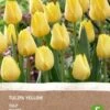 Intratuin Biologische Bloembollen Tulp (Tulipa) Geel 6 Stuks 1 Intratuin Biologische Bloembollen Tulp (Tulipa) Geel 6 Stuks -Tuin Planten Winkel 8717263788010
