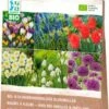 Intratuin Biologische Bij- En Vlinder Vriendelijke Bloembollen Gemengd 33 Stuks -Tuin Planten Winkel 8717263788027