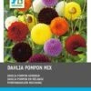 Intratuin Dahlia Knol (Dahlia Pompon) Gemengd 5 Stuks