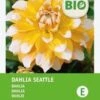Intratuin Biologische Dahlia Knol (Dahlia 'Seattle') -Tuin Planten Winkel 8717263788249
