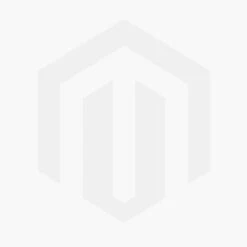 Zeeuws Knoopje (Astrantia Major) D 9 H 10 Cm