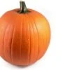 Sierkalebas (Cucurbita 'Oranje Halloween') D 30 Cm -Tuin Planten Winkel 8720196500741 0