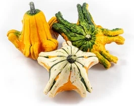 Sierkalebas (Cucurbita 'Gizmo') D 15 Cm 3 Sierkalebas (Cucurbita 'Gizmo') D 15 Cm