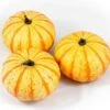 Pompoen (Cucurbita 'Blaze') D 15 Cm 1 Pompoen (Cucurbita 'Blaze') D 15 Cm -Tuin Planten Winkel 8720196502004 0