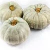 Pompoen (Cucurbita 'Jarrahdale') D 23 Cm -Tuin Planten Winkel 8720196502028 0