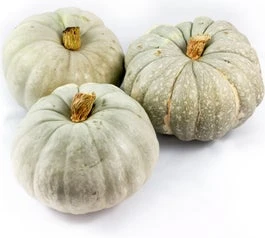 Pompoen (Cucurbita 'Jarrahdale') D 23 Cm 3 Pompoen (Cucurbita 'Jarrahdale') D 23 Cm