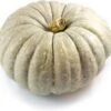 Pompoen (Cucurbita 'Jarrahdale') D 20 Cm -Tuin Planten Winkel 8720196502080 0