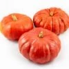 Pompoen (Cucurbita 'Rode Van Etampes') D 20 Cm -Tuin Planten Winkel 8720196502097 0