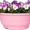 Hoornviooltje In Schaal (Viola Cornuta In Schaal) Roze Wit D 23 H 25 Cm -Tuin Planten Winkel 8720196549986