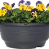 Hoornviooltje In Schaal (Viola Cornuta In Schaal) Blauw Geel D 23 H 25 Cm -Tuin Planten Winkel 8720196550005
