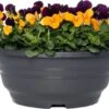 Hoornviooltje In Schaal (Viola Cornuta In Schaal) Oranje Paars D 23 H 25 Cm 1 Hoornviooltje In Schaal (Viola Cornuta In Schaal) Oranje Paars D 23 H 25 Cm -Tuin Planten Winkel 8720196550067