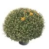 Bolchrysant (Chrysanthemum) Bruin D 19 H 45 Cm -Tuin Planten Winkel 8720196663088