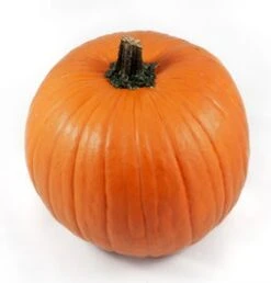 Sierkalebas (Cucurbita 'Oranje Halloween') D 15 Cm