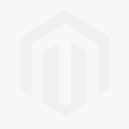 Herfstanemoon (Anemone Hybrida 'Elfin Swan') D 9 H 15 Cm 3 Herfstanemoon (Anemone Hybrida 'Elfin Swan') D 9 H 15 Cm