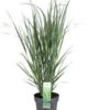 Vingergras (Panicum Virgatum 'Northwind') D 23 H 40 Cm -Tuin Planten Winkel 8720879236585 0