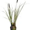 Lampenpoetsersgras (Pennisetum Alopecuroides 'Viridescens') D 28 H 60 Cm -Tuin Planten Winkel 8720879236721 0