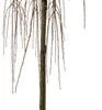 Treur Lork (Larix Kaempf. 'Stiff Weeping') D 30 H 200 Cm -Tuin Planten Winkel 8720879744547 0 Larix kaem Stiff Weeping