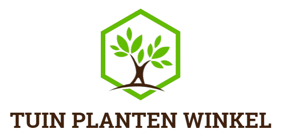Tuin Planten Winkel